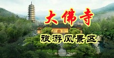 日本毛茸茸黑逼中国浙江-新昌大佛寺旅游风景区